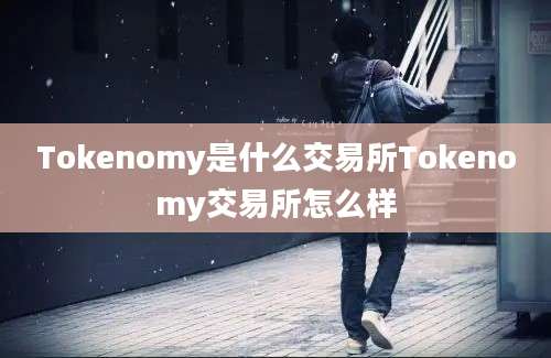 Tokenomy是什么交易所Tokenomy交易所怎么样