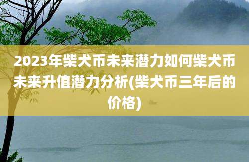 2023年柴犬币未来潜力如何柴犬币未来升值潜力分析(柴犬币三年后的价格)