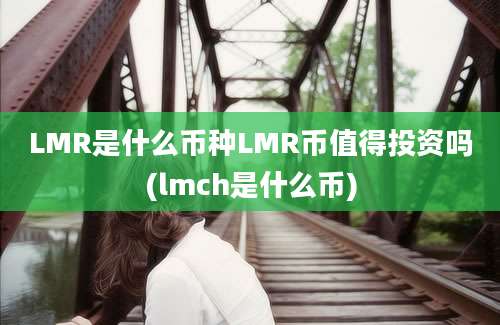 LMR是什么币种LMR币值得投资吗(lmch是什么币)