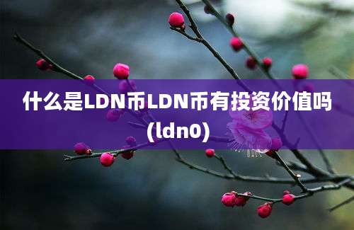 什么是LDN币LDN币有投资价值吗(ldn0)