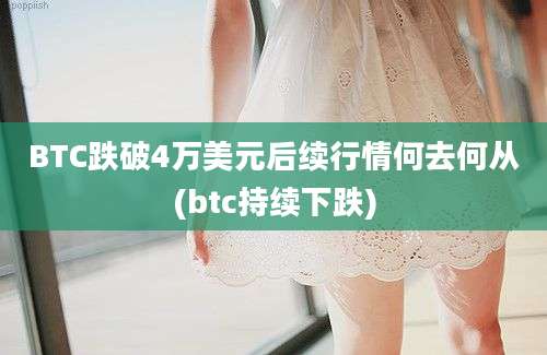 BTC跌破4万美元后续行情何去何从(btc持续下跌)