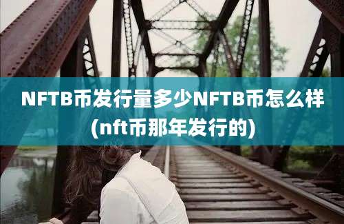 NFTB币发行量多少NFTB币怎么样(nft币那年发行的)