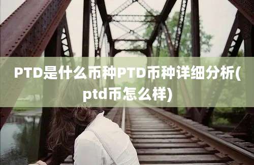 PTD是什么币种PTD币种详细分析(ptd币怎么样)