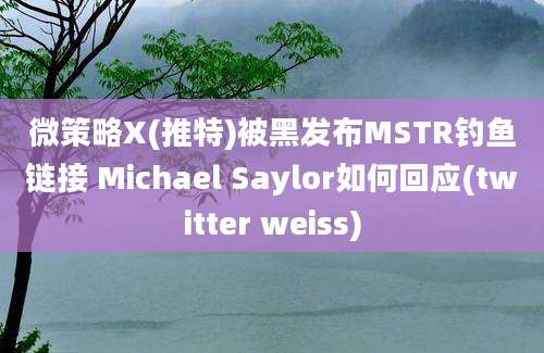 微策略X(推特)被黑发布MSTR钓鱼链接 Michael Saylor如何回应(twitter weiss)