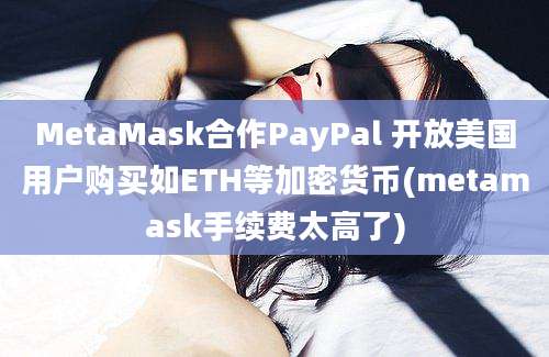 MetaMask合作PayPal 开放美国用户购买如ETH等加密货币(metamask手续费太高了)