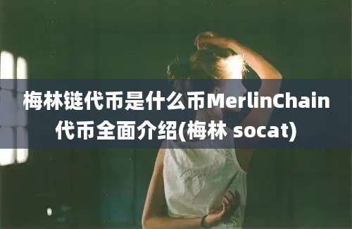 梅林链代币是什么币MerlinChain代币全面介绍(梅林 socat)