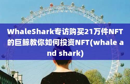 WhaleShark专访购买21万件NFT的巨鲸教你如何投资NFT(whale and shark)