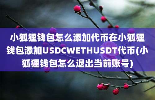 小狐狸钱包怎么添加代币在小狐狸钱包添加USDCWETHUSDT代币(小狐狸钱包怎么退出当前账号)