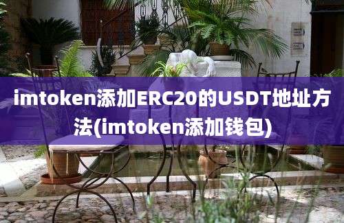 imtoken添加ERC20的USDT地址方法(imtoken添加钱包)