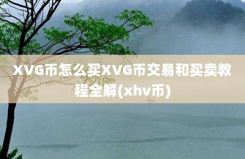 XVG币怎么买XVG币交易和买卖教程全解(xhv币)