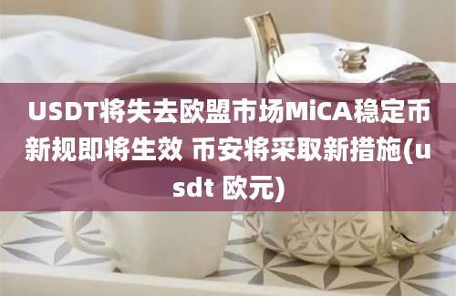 USDT将失去欧盟市场MiCA稳定币新规即将生效 币安将采取新措施(usdt 欧元)