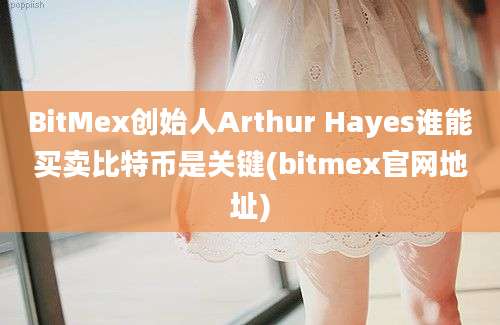 BitMex创始人Arthur Hayes谁能买卖比特币是关键(bitmex官网地址)