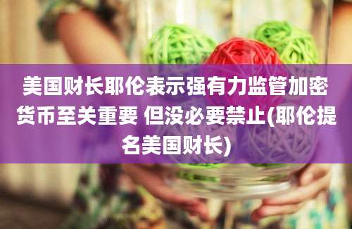 美国财长耶伦表示强有力监管加密货币至关重要 但没必要禁止(耶伦提名美国财长)