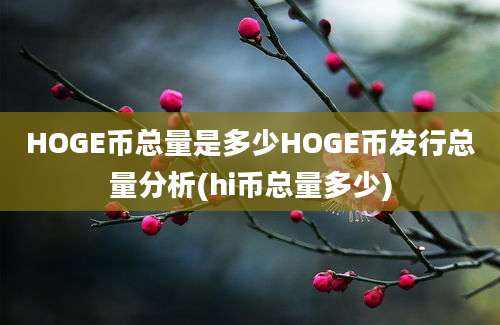 HOGE币总量是多少HOGE币发行总量分析(hi币总量多少)