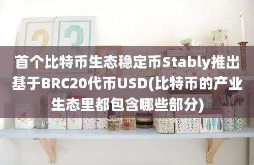 首个比特币生态稳定币Stably推出基于BRC20代币USD(比特币的产业生态里都包含哪些部分)