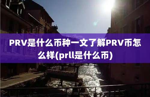 PRV是什么币种一文了解PRV币怎么样(prll是什么币)