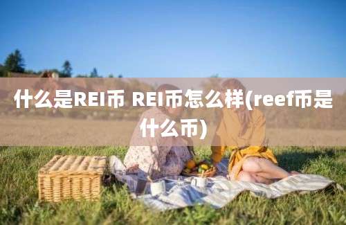 什么是REI币 REI币怎么样(reef币是什么币)