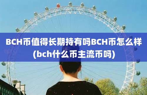 BCH币值得长期持有吗BCH币怎么样(bch什么币主流币吗)