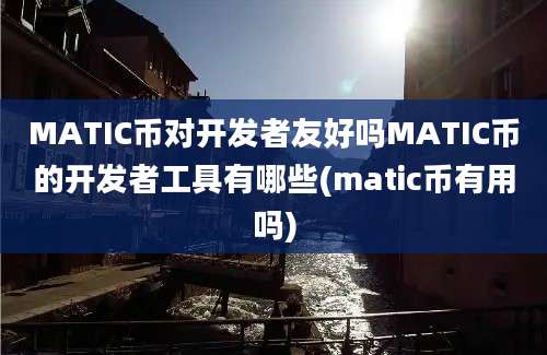 MATIC币对开发者友好吗MATIC币的开发者工具有哪些(matic币有用吗)