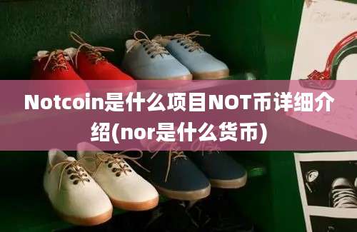 Notcoin是什么项目NOT币详细介绍(nor是什么货币)