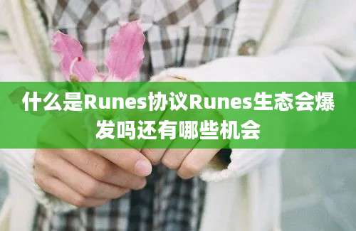 什么是Runes协议Runes生态会爆发吗还有哪些机会