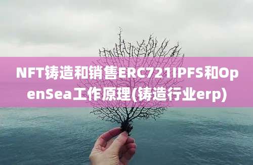 NFT铸造和销售ERC721IPFS和OpenSea工作原理(铸造行业erp)