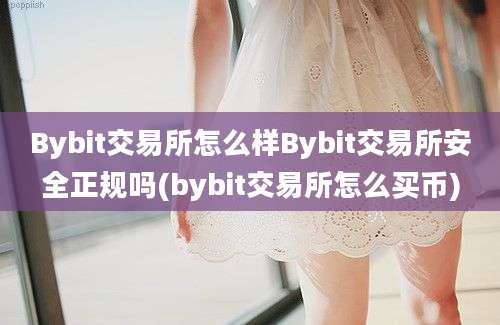 Bybit交易所怎么样Bybit交易所安全正规吗(bybit交易所怎么买币)