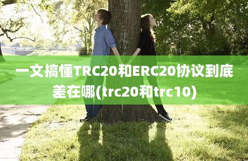 一文搞懂TRC20和ERC20协议到底差在哪(trc20和trc10)