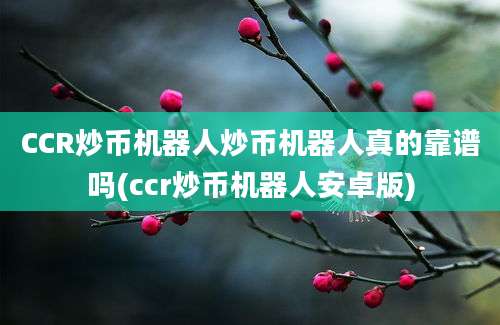 CCR炒币机器人炒币机器人真的靠谱吗(ccr炒币机器人安卓版)