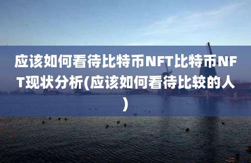 应该如何看待比特币NFT比特币NFT现状分析(应该如何看待比较的人)