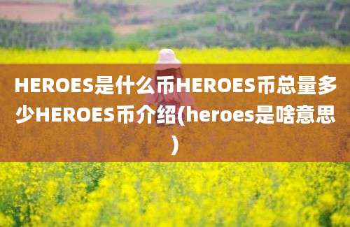 HEROES是什么币HEROES币总量多少HEROES币介绍(heroes是啥意思)