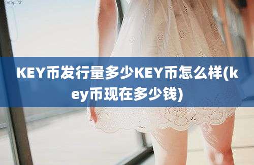 KEY币发行量多少KEY币怎么样(key币现在多少钱)