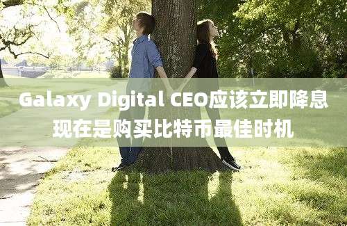 Galaxy Digital CEO应该立即降息现在是购买比特币最佳时机