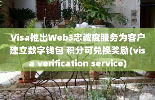 Visa推出Web3忠诚度服务为客户建立数字钱包 积分可兑换奖励(visa verification service)