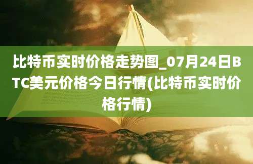 比特币实时价格走势图_07月24日BTC美元价格今日行情(比特币实时价格行情)