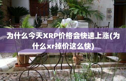 为什么今天XRP价格会快速上涨(为什么xr掉价这么快)