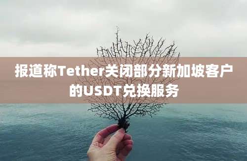 报道称Tether关闭部分新加坡客户的USDT兑换服务