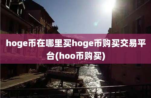 hoge币在哪里买hoge币购买交易平台(hoo币购买)