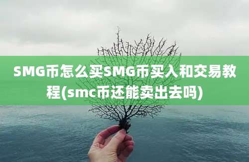 SMG币怎么买SMG币买入和交易教程(smc币还能卖出去吗)