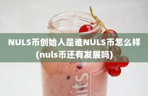 NULS币创始人是谁NULS币怎么样(nuls币还有发展吗)