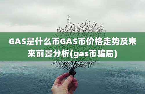 GAS是什么币GAS币价格走势及未来前景分析(gas币骗局)