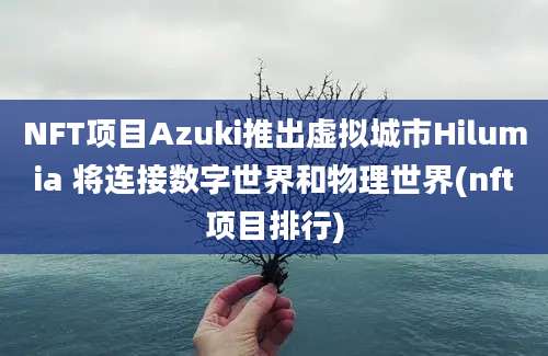 NFT项目Azuki推出虚拟城市Hilumia 将连接数字世界和物理世界(nft项目排行)