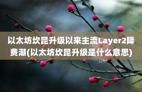 以太坊坎昆升级以来主流Layer2降费潮(以太坊坎昆升级是什么意思)