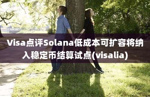 Visa点评Solana低成本可扩容将纳入稳定币结算试点(visalia)