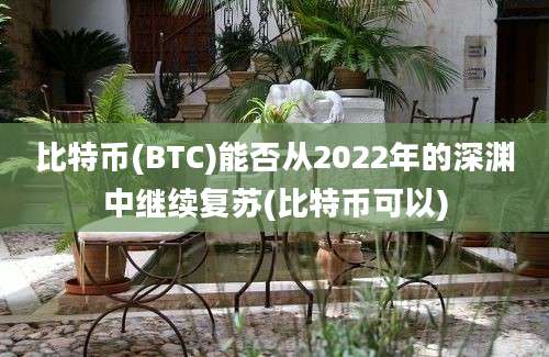 比特币(BTC)能否从2022年的深渊中继续复苏(比特币可以)