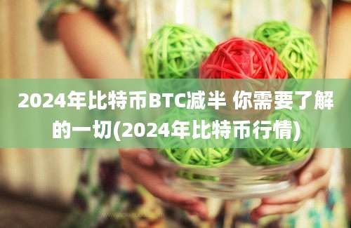 2024年比特币BTC减半 你需要了解的一切(2024年比特币行情)