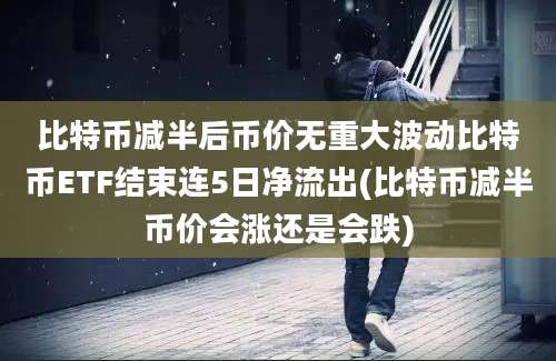 比特币减半后币价无重大波动比特币ETF结束连5日净流出(比特币减半币价会涨还是会跌)