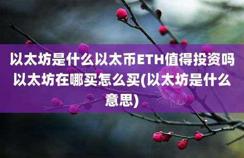 以太坊是什么以太币ETH值得投资吗以太坊在哪买怎么买(以太坊是什么意思)