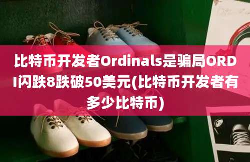 比特币开发者Ordinals是骗局ORDI闪跌8跌破50美元(比特币开发者有多少比特币)