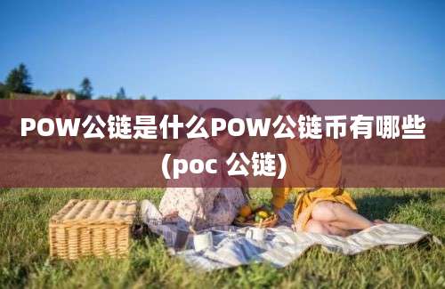 POW公链是什么POW公链币有哪些(poc 公链)